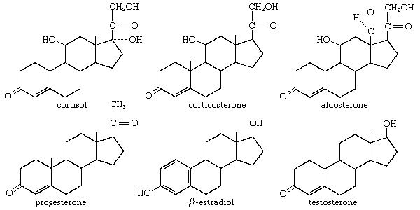 steroidejpg.jpg